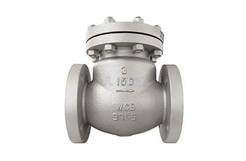 Non-Return Valve (NRV)