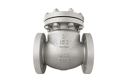 Non-Return Valve (NRV) — view 1